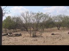 SW Pond from the East looking NW.jpg
